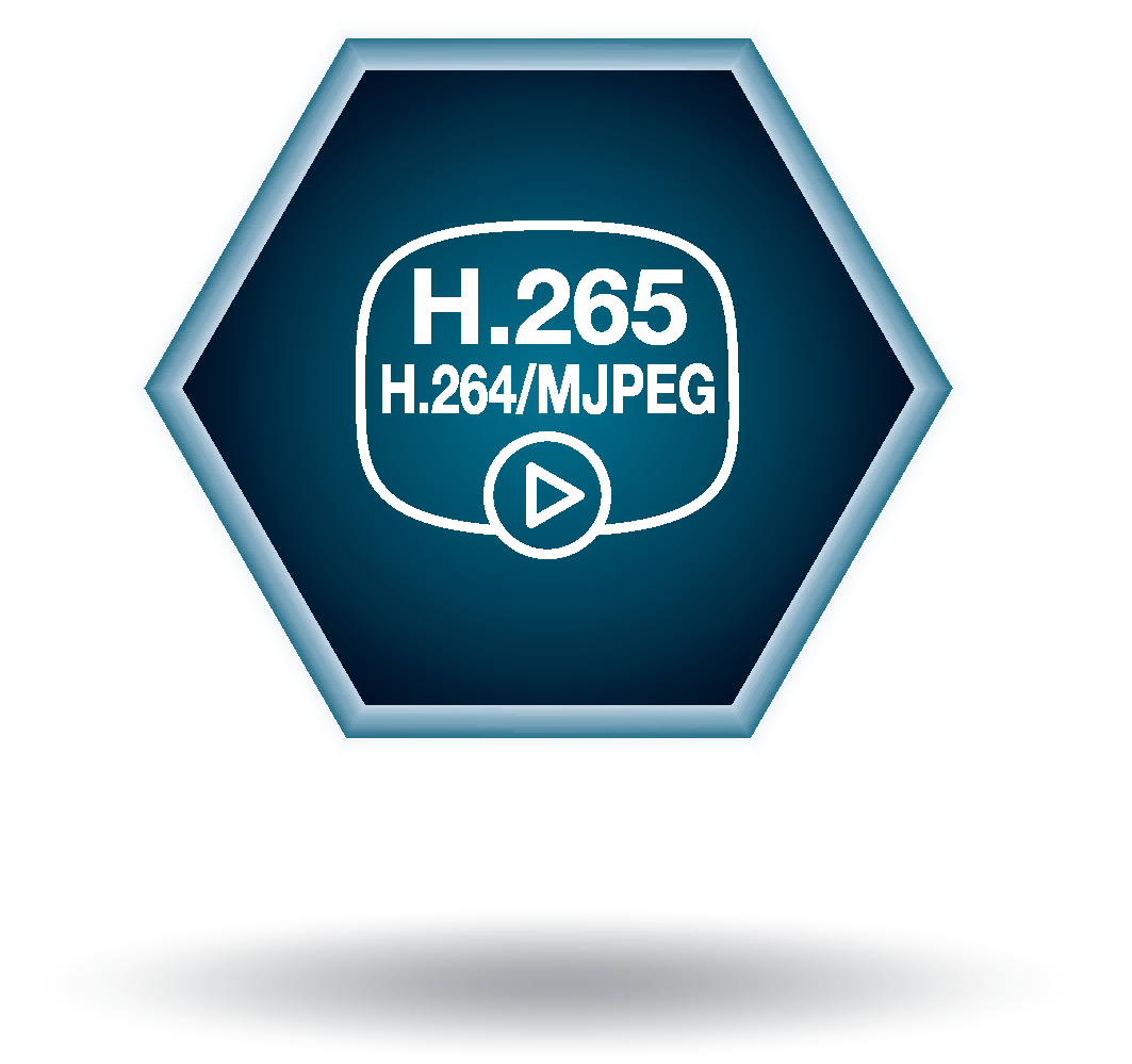  H.265 codec support 